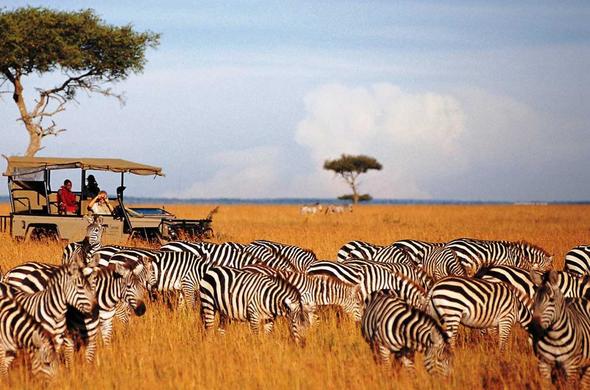 10 Days Kenya Ultimate Safari & Coastal Escape – Kenya (Ultra  Premium Circuit)